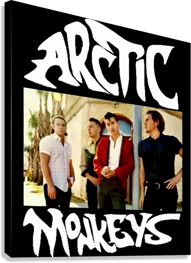 Arctic Monkeys 13 Canvas Print