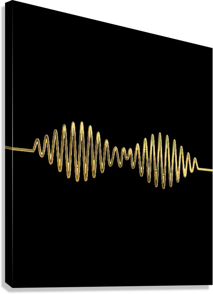 Arctic Monkeys 28 Canvas Print