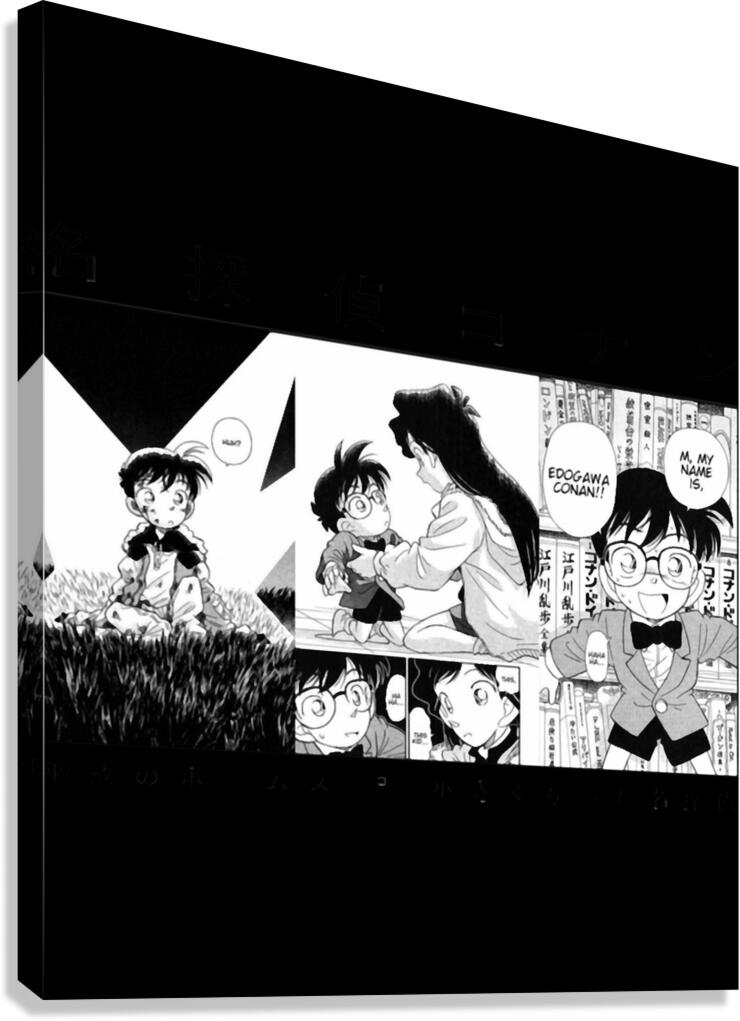 Case Closed 3 Canvas Print