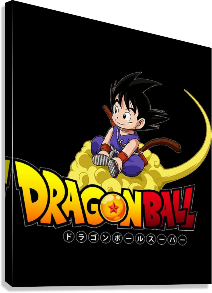 Dragon ball 13 Canvas Print