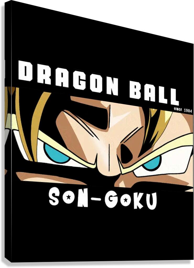 Dragon ball 39 Canvas Print