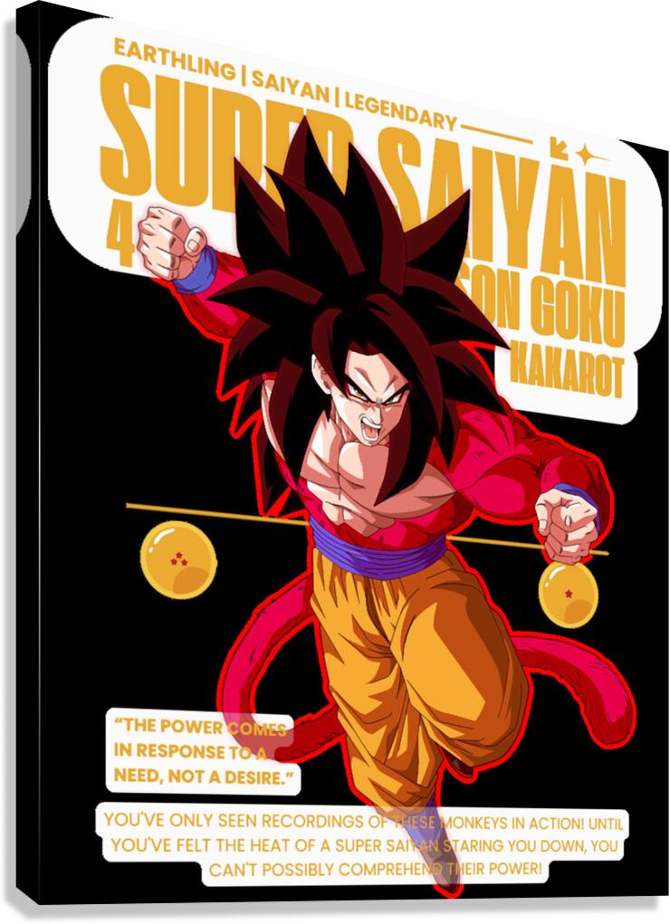 Dragon ball 13 Canvas Print