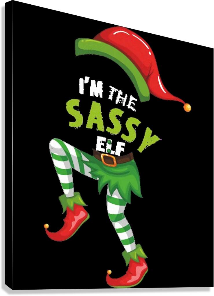 Elf 5 Canvas Print