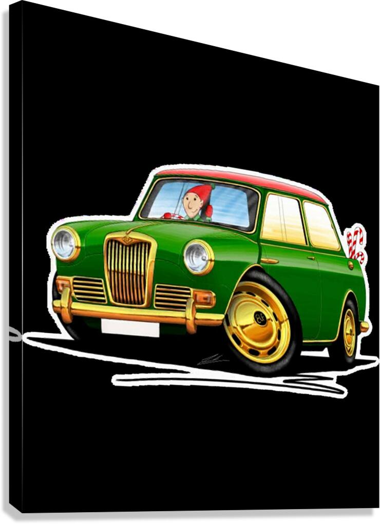 Elf 10 Canvas Print