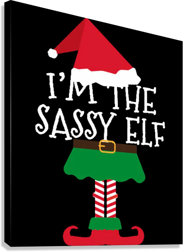 Elf 52 Canvas Print