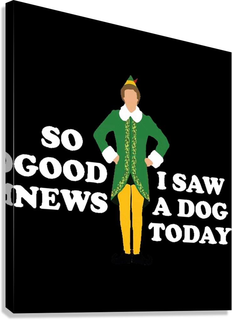 Elf 10 Canvas Print