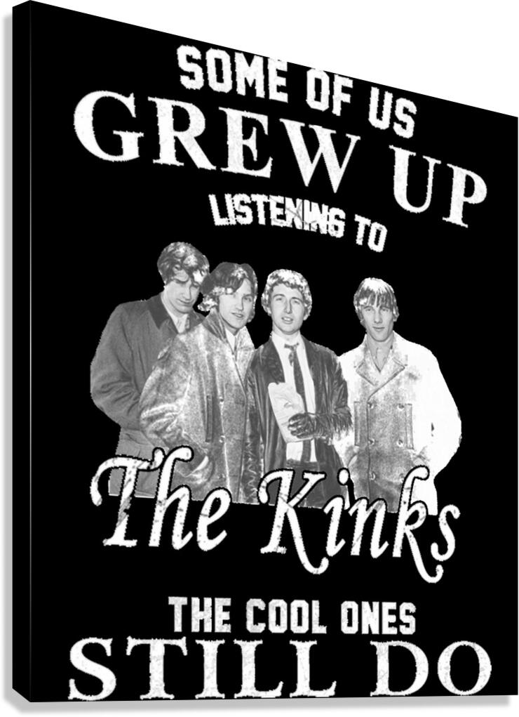 Kinks 21 Canvas Print