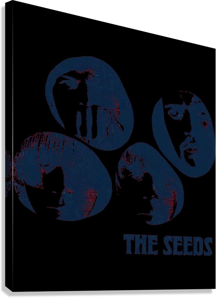 Kinks 31 Canvas Print