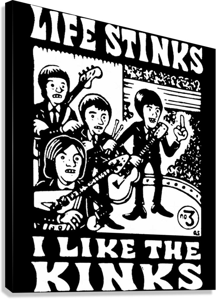 Kinks 35 Canvas Print