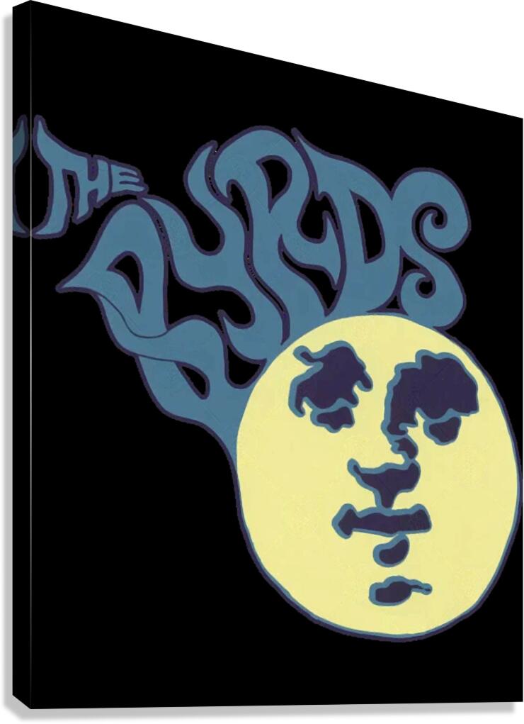 Kinks 61 Canvas Print
