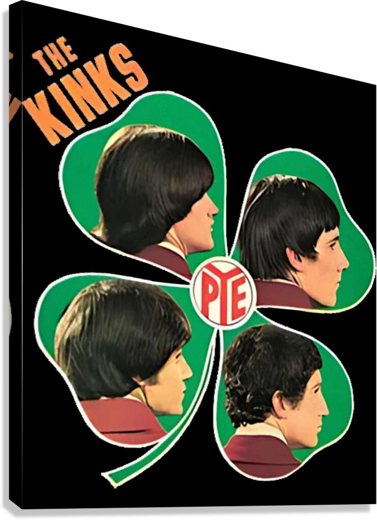 Kinks 2 Canvas Print