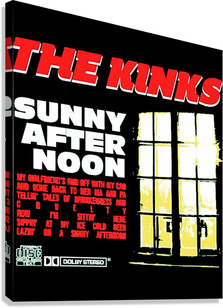 Kinks 10 Canvas Print