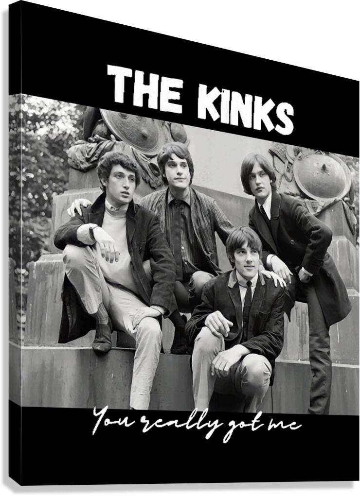 Kinks 12 Canvas Print