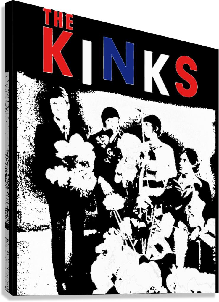 Kinks 23 Canvas Print