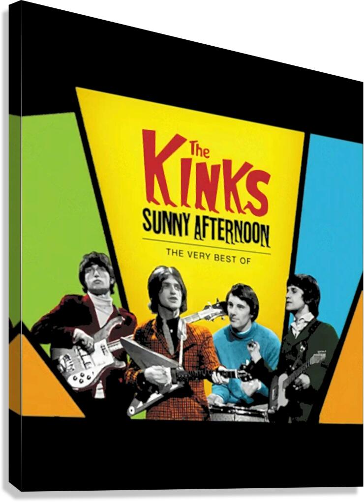 Kinks 29 Canvas Print