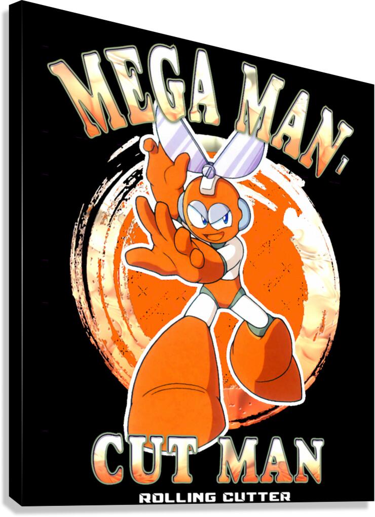 Mega Man 36 Canvas Print