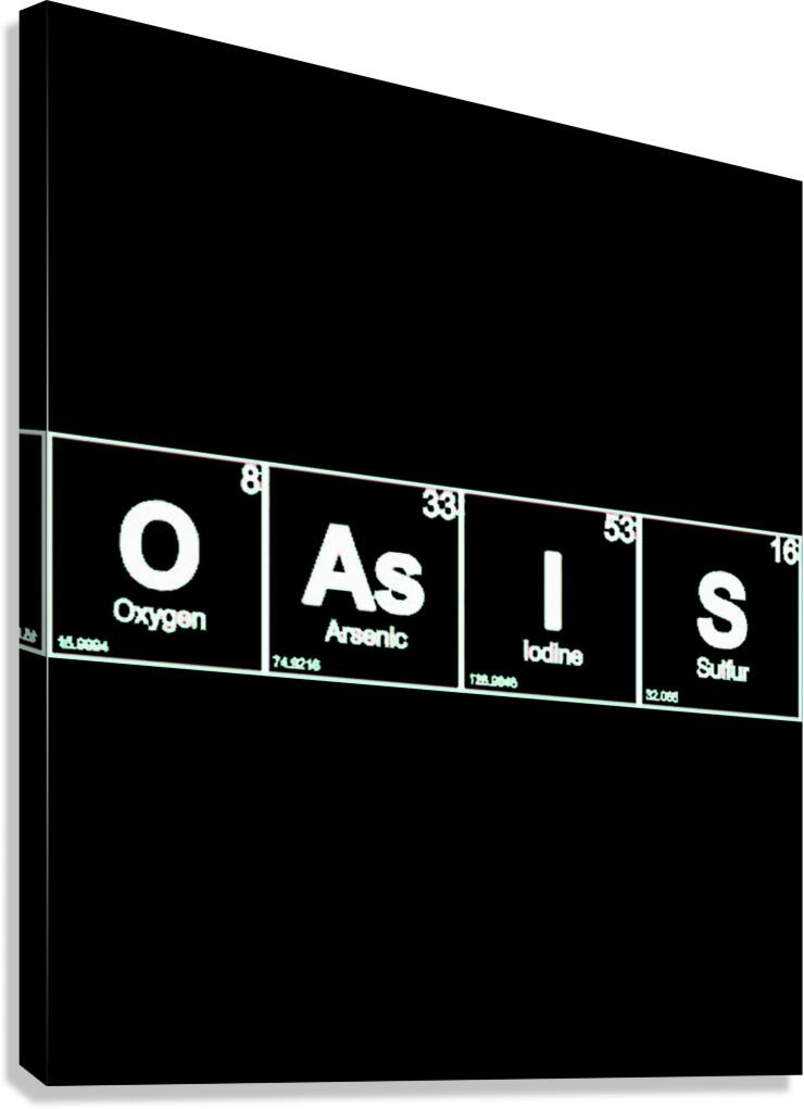 Oasis 2 Canvas Print