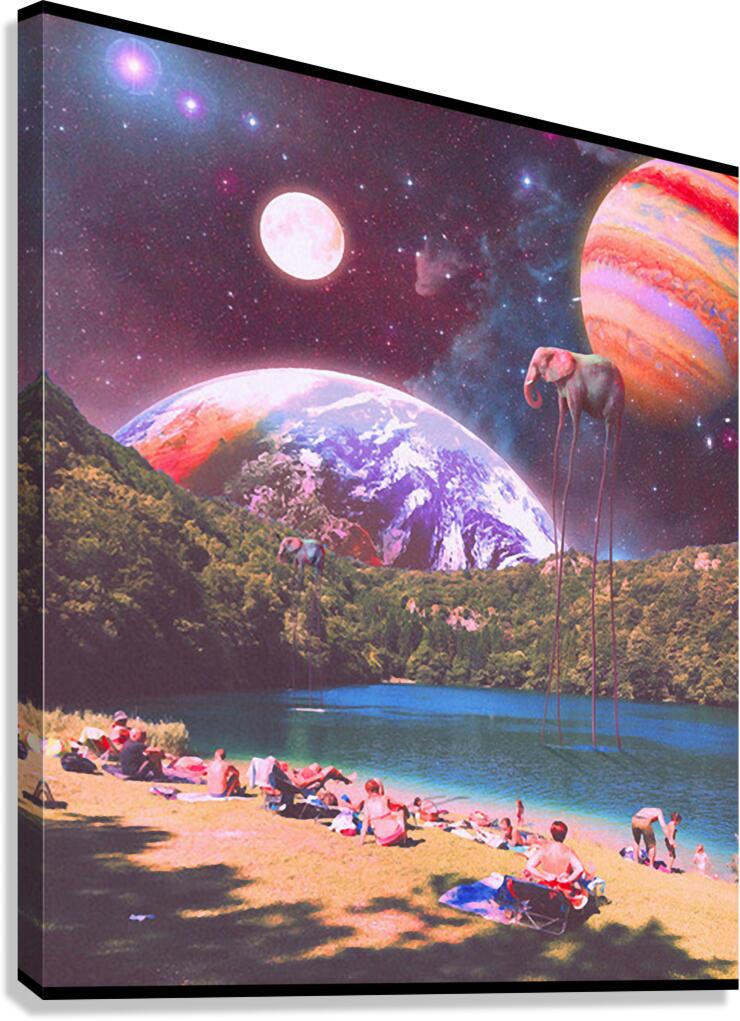 Oasis 13 Canvas Print