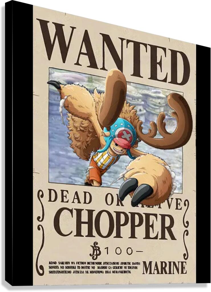 One Piece 5 Canvas Print