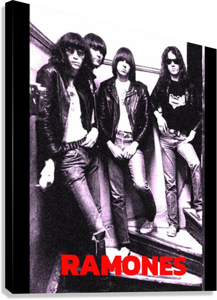 Ramones 69 Canvas Print
