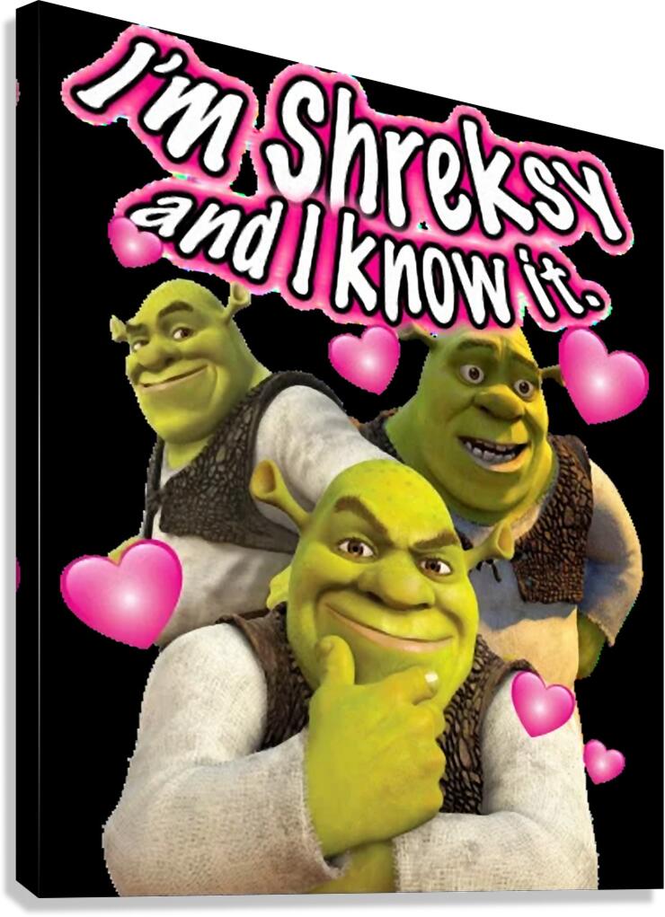 Shrek 33 Canvas Print