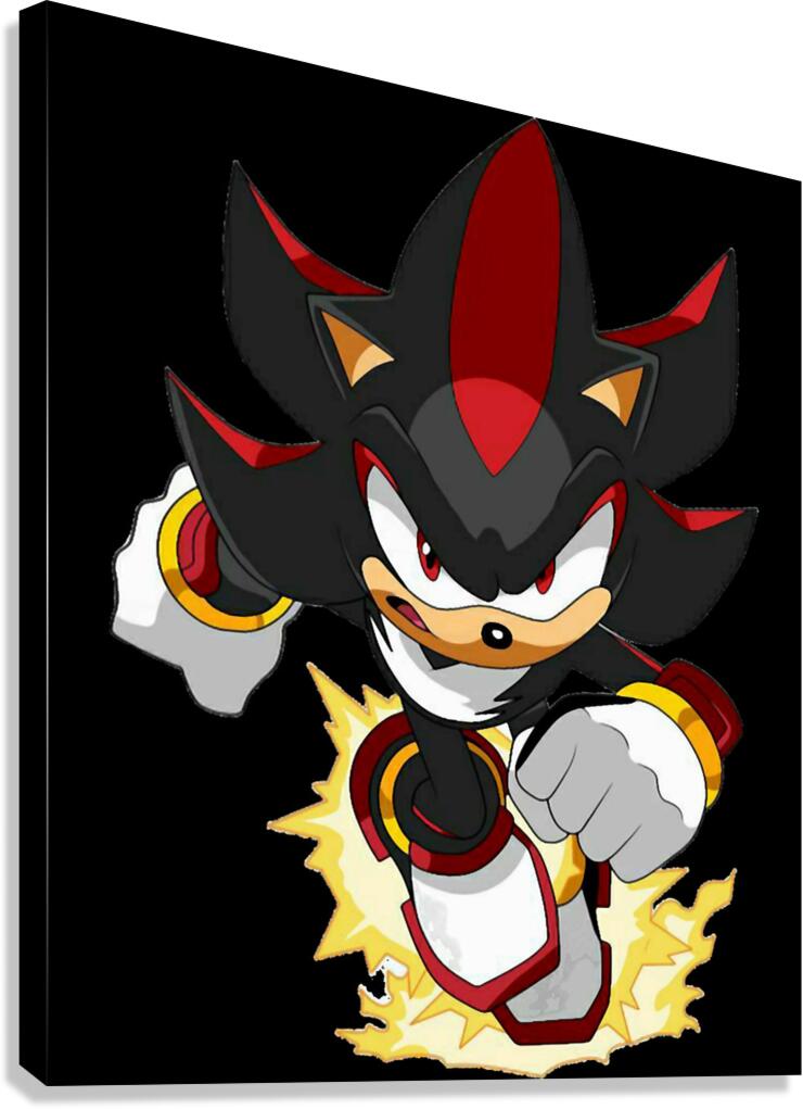 Sonic 4 Canvas Print