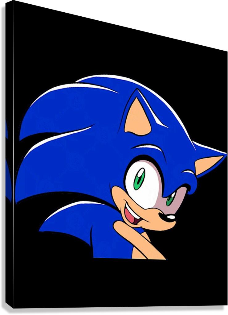 Sonic 8 Canvas Print