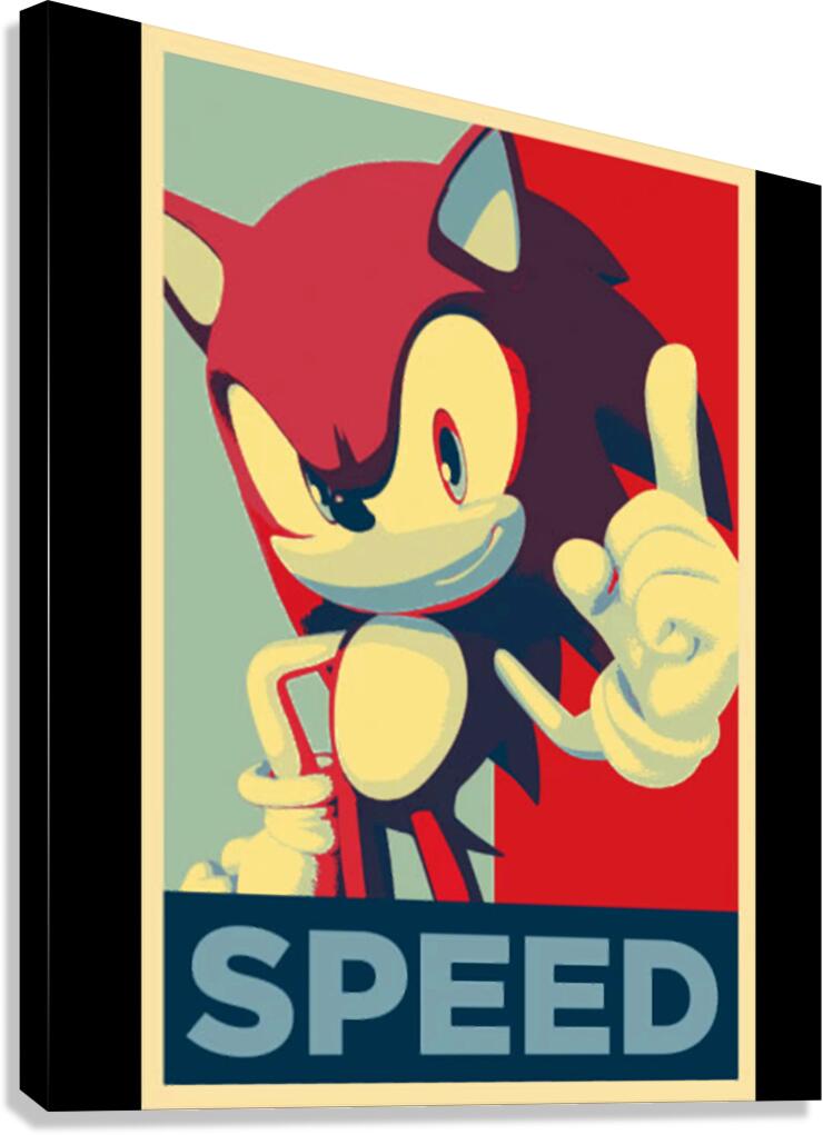 Sonic 9 Canvas Print
