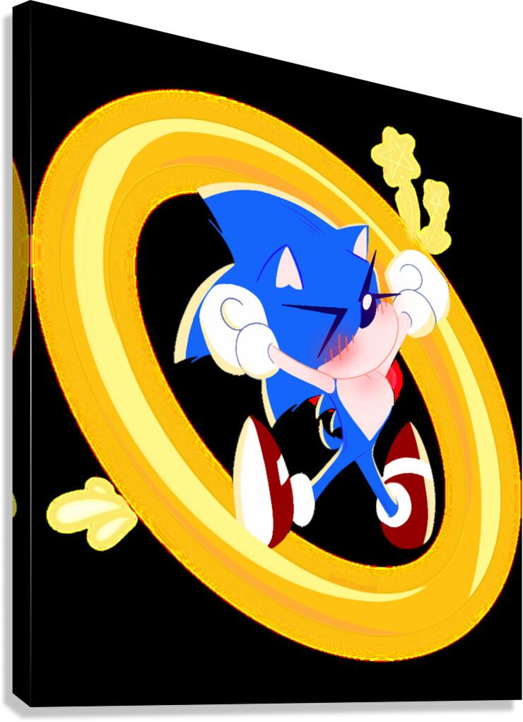 Sonic 11 Canvas Print
