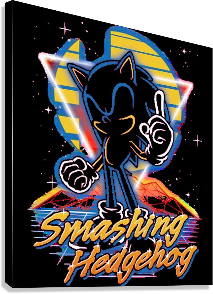 Sonic 12 Canvas Print