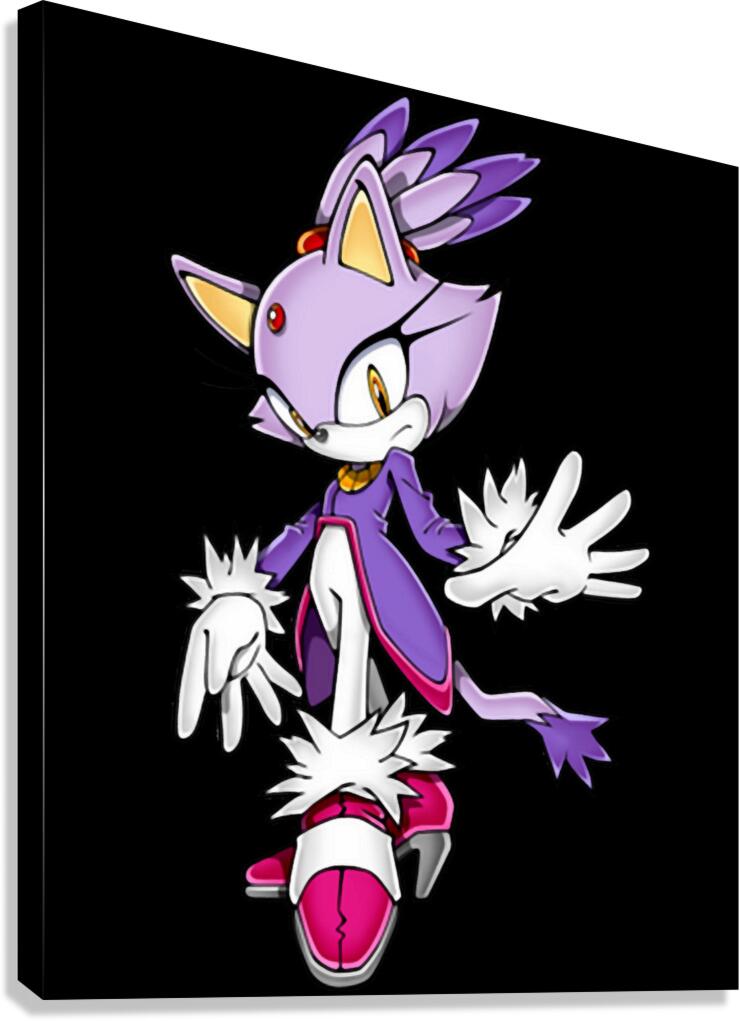 Sonic 13 Canvas Print