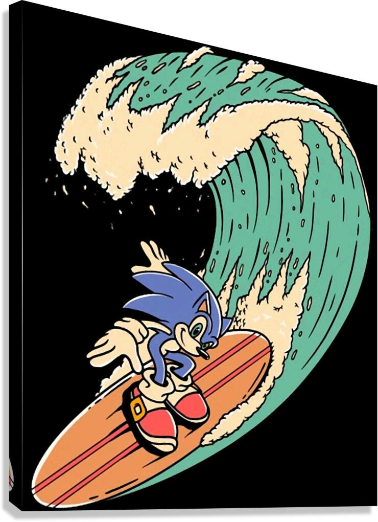 Sonic 15 Canvas Print