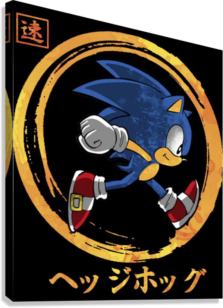 Sonic 17 Canvas Print