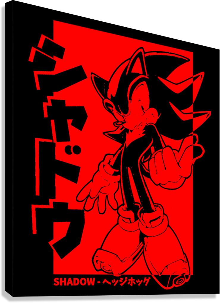 Sonic 18 Canvas Print