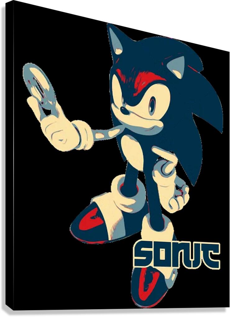 Sonic 19 Canvas Print