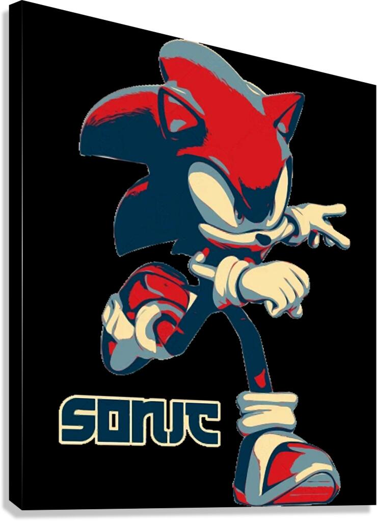 Sonic 21 Canvas Print