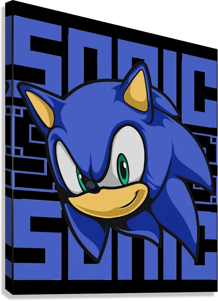 Sonic 23 Canvas Print