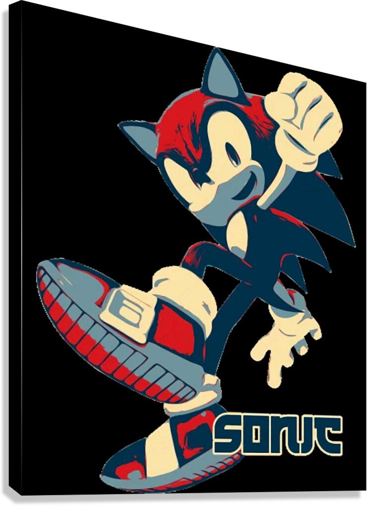 Sonic 25 Canvas Print