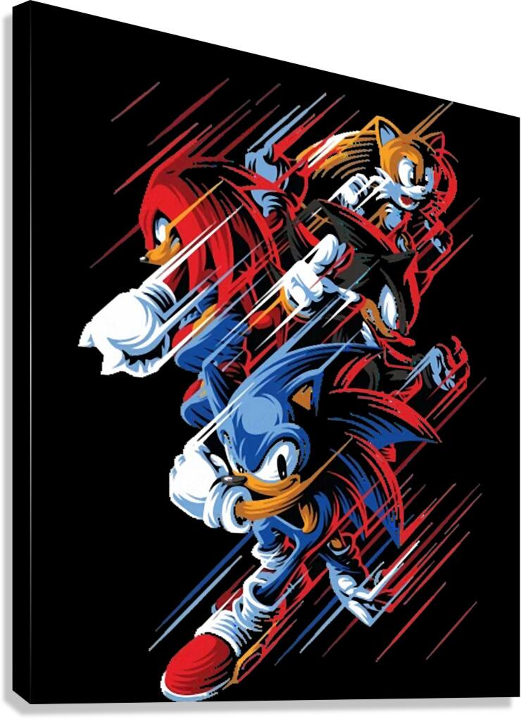 Sonic 26 Canvas Print