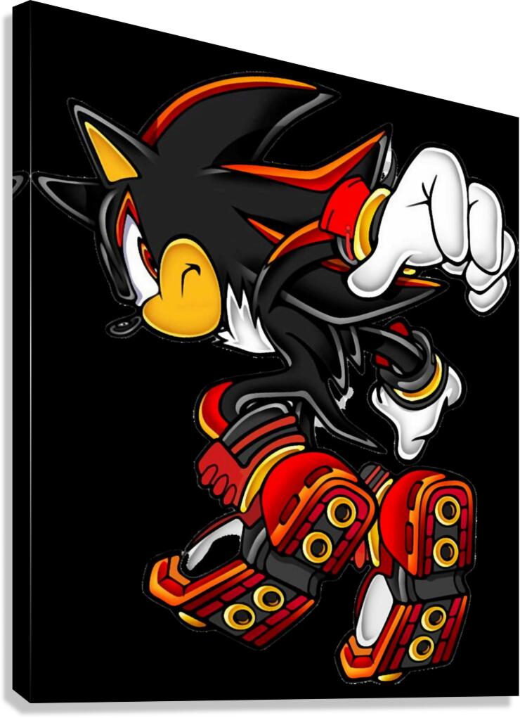 Sonic 28 Canvas Print