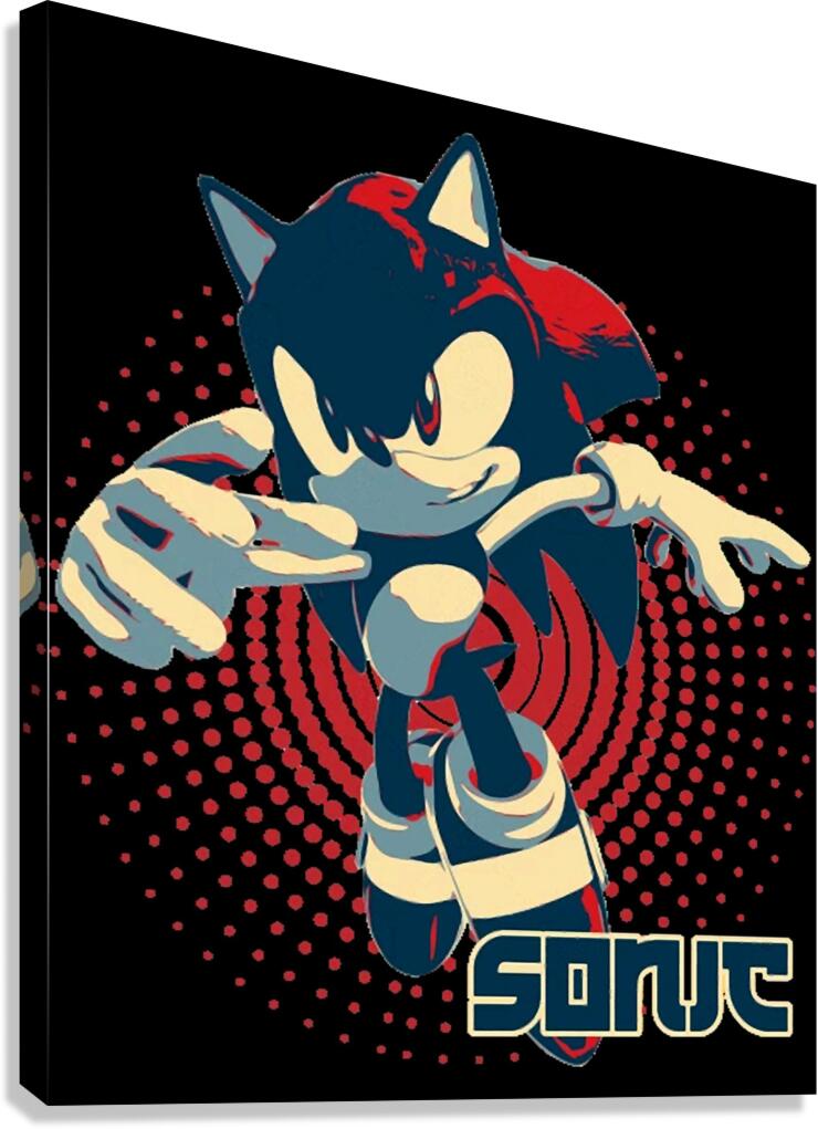 Sonic 30 Canvas Print