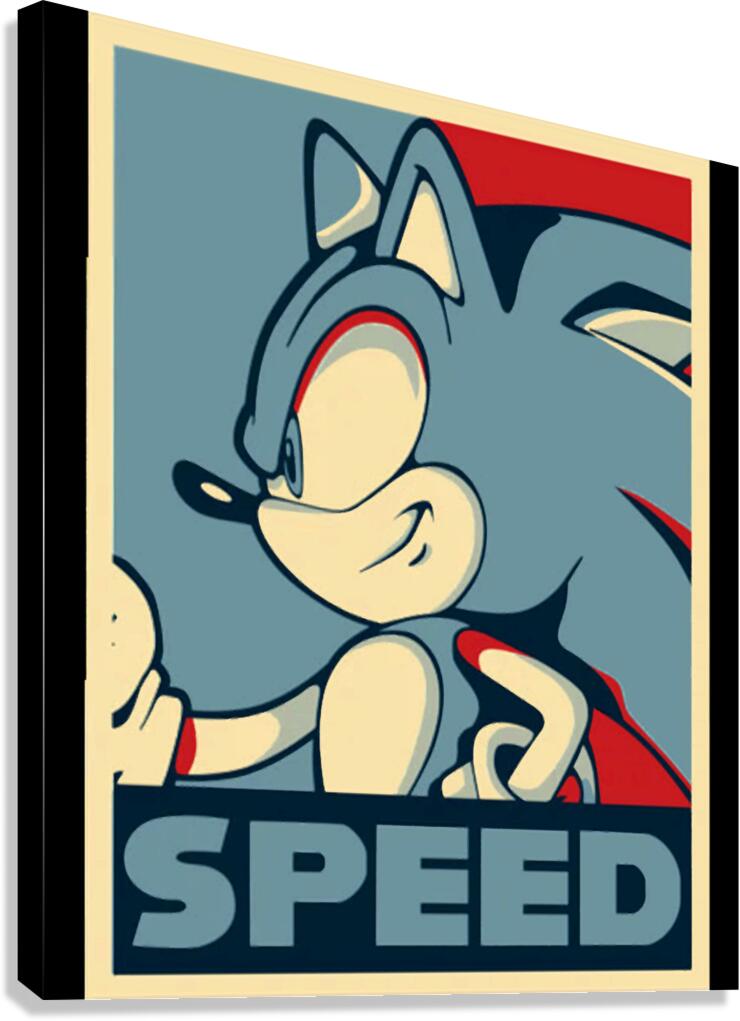 Sonic 31 Canvas Print