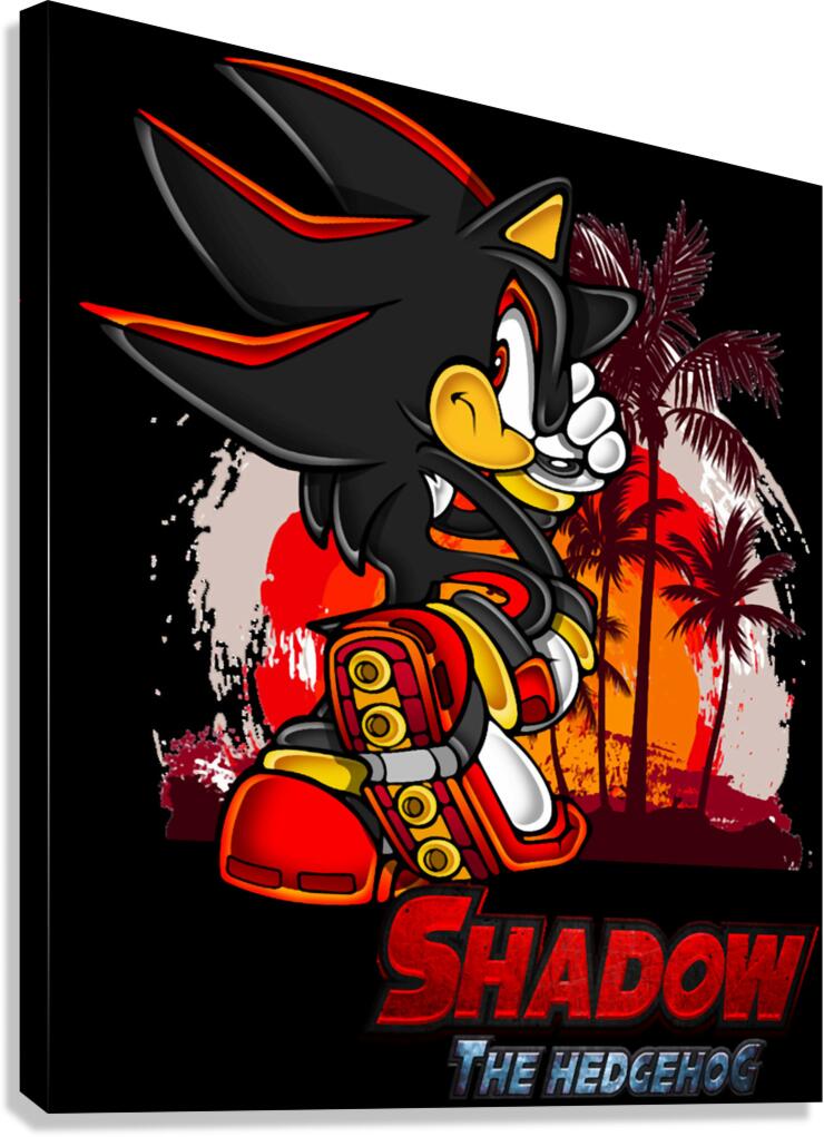 Sonic 33 Canvas Print