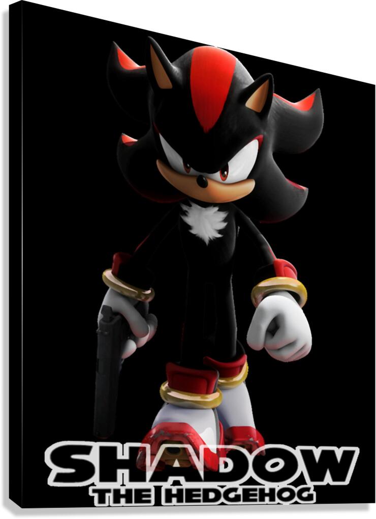Sonic 39 Canvas Print