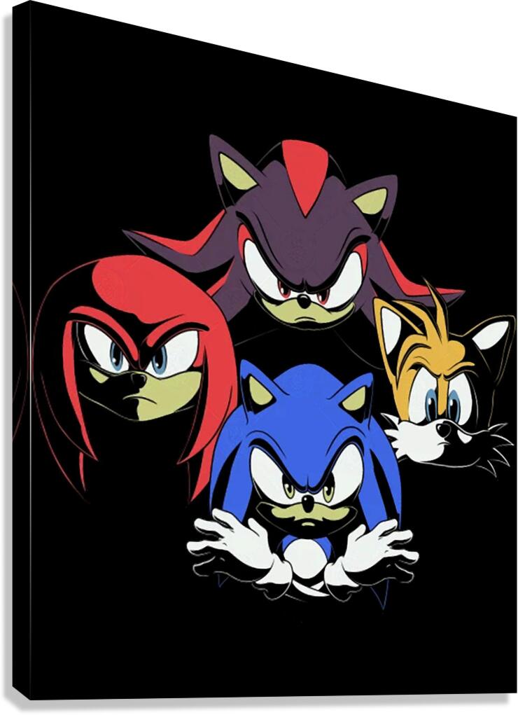 Sonic 40 Canvas Print