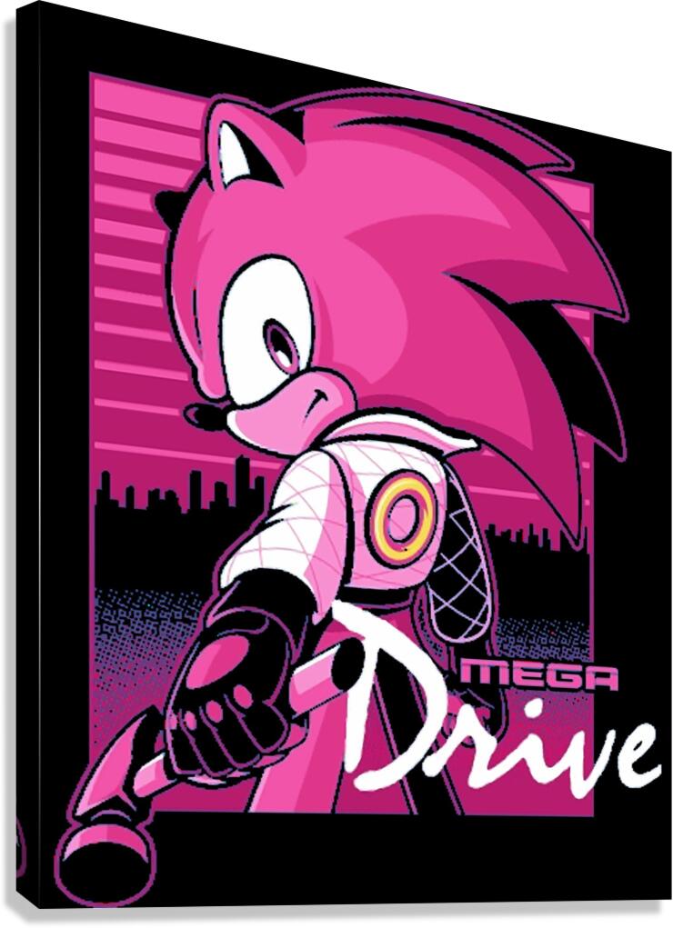 Sonic 42 Canvas Print