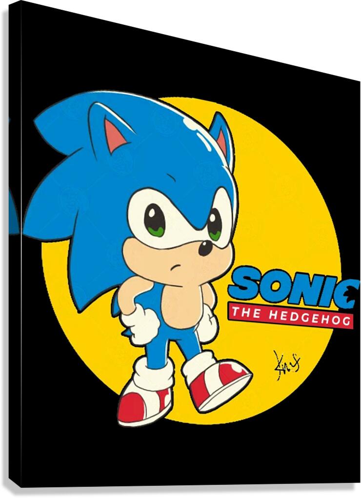 Sonic 43 Canvas Print
