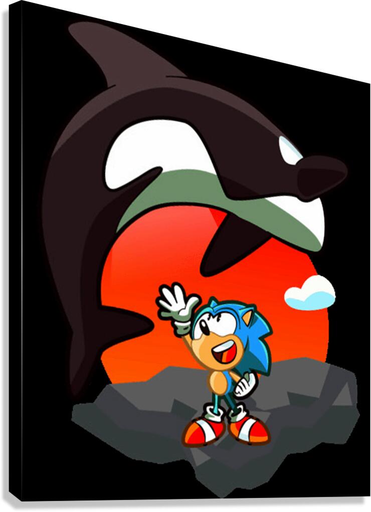 Sonic 47 Canvas Print