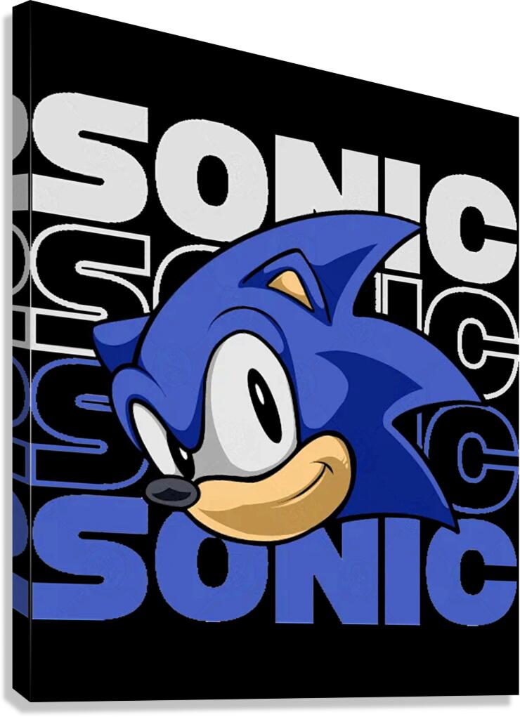 Sonic 48 Canvas Print
