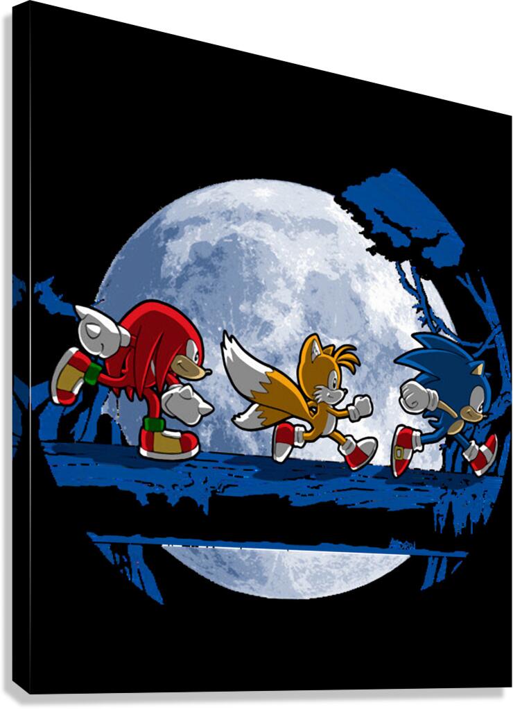 Sonic 53 Canvas Print
